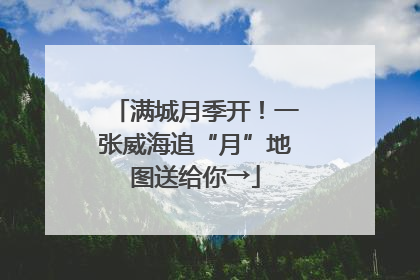 满城月季开！一张威海追“月”地图送给你→