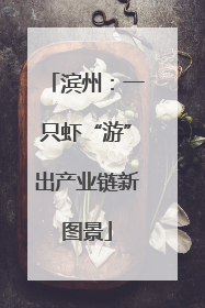 滨州：一只虾“游”出产业链新图景