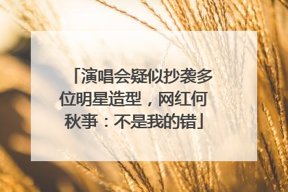 演唱会疑似抄袭多位明星造型，网红何秋亊：不是我的错