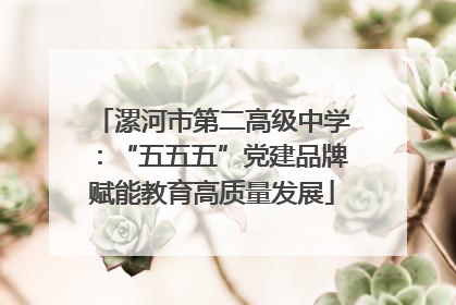 漯河市第二高级中学：“五五五”党建品牌赋能教育高质量发展