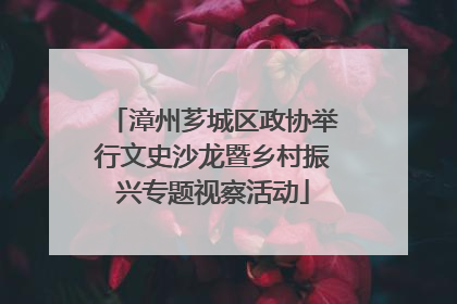 漳州芗城区政协举行文史沙龙暨乡村振兴专题视察活动