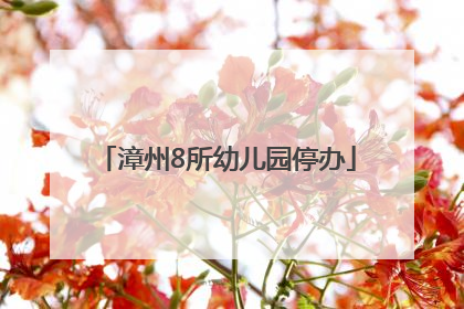 漳州8所幼儿园停办