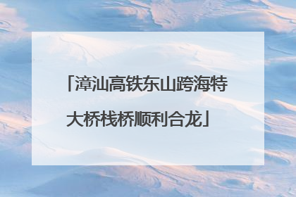 漳汕高铁东山跨海特大桥栈桥顺利合龙