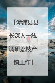 漳浦县县长深入一线调研荔枝产销工作