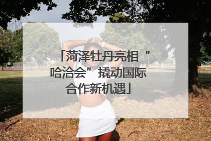 菏泽牡丹亮相“哈洽会”撬动国际合作新机遇