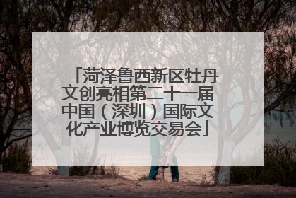 菏泽鲁西新区牡丹文创亮相第二十一届中国（深圳）国际文化产业博览交易会