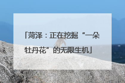 菏泽：正在挖掘“一朵牡丹花”的无限生机
