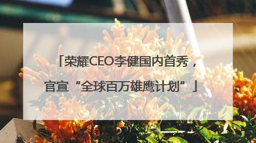 荣耀CEO李健国内首秀，官宣“全球百万雄鹰计划”