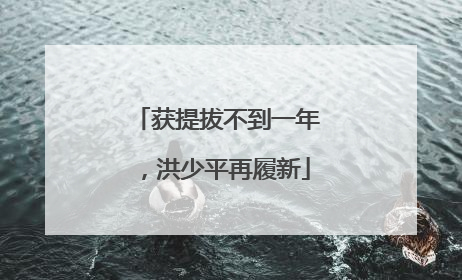 获提拔不到一年，洪少平再履新