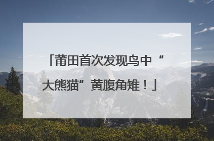 莆田首次发现鸟中“大熊猫”黄腹角雉！