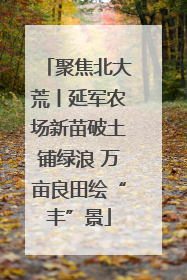 聚焦北大荒丨延军农场新苗破土铺绿浪 万亩良田绘“丰”景