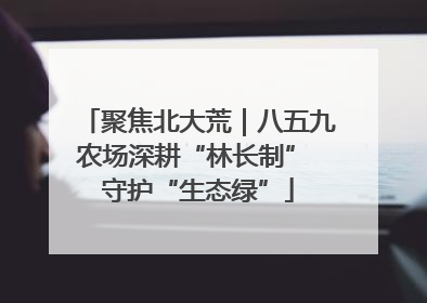 聚焦北大荒｜八五九农场深耕“林长制” 守护“生态绿”