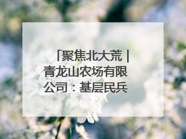 聚焦北大荒｜青龙山农场有限公司：基层民兵参与农业环境综合治理显效