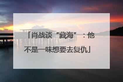 肖战谈“藏海”：他不是一味想要去复仇