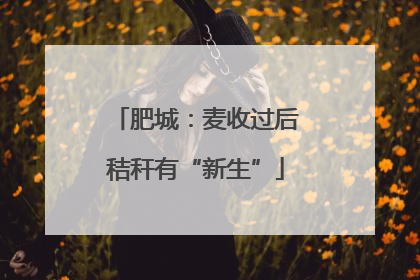 肥城：麦收过后秸秆有“新生”