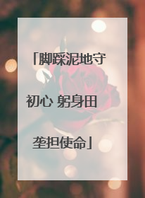 脚踩泥地守初心 躬身田垄担使命