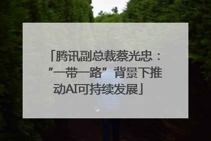 腾讯副总裁蔡光忠：“一带一路”背景下推动AI可持续发展