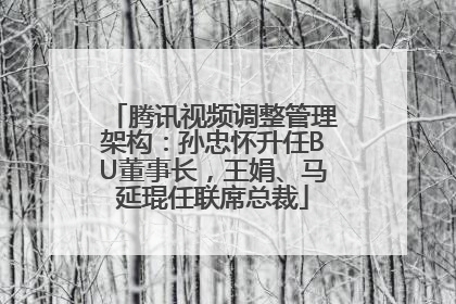 腾讯视频调整管理架构：孙忠怀升任BU董事长，王娟、马延琨任联席总裁