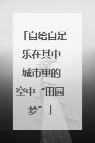 自给自足 乐在其中 城市里的空中“田园梦”