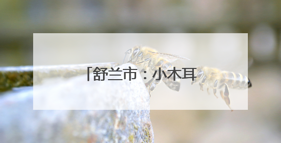 舒兰市：小木耳撑起“致富伞”
