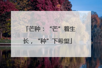 芒种：“芒”着生长，“种”下希望