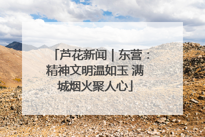 芦花新闻｜东营：精神文明温如玉 满城烟火聚人心