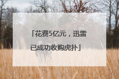 花费5亿元，迅雷已成功收购虎扑