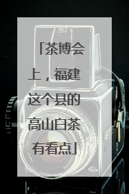 茶博会上，福建这个县的高山白茶有看点