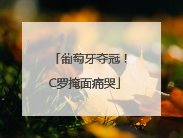 葡萄牙夺冠！C罗掩面痛哭
