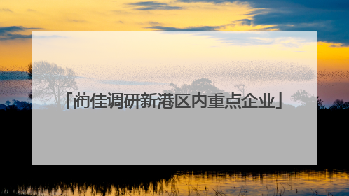 蔺佳调研新港区内重点企业