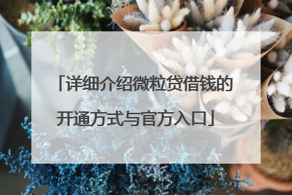 详细介绍微粒贷借钱的开通方式与官方入口