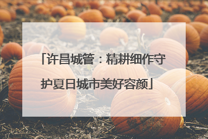许昌城管：精耕细作守护夏日城市美好容颜