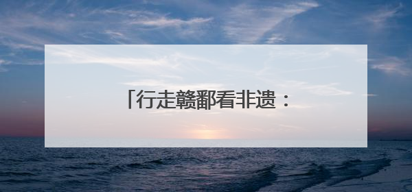 行走赣鄱看非遗：“希望岳家拳的身影遍布大江南北”