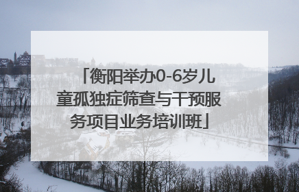 衡阳举办0-6岁儿童孤独症筛查与干预服务项目业务培训班