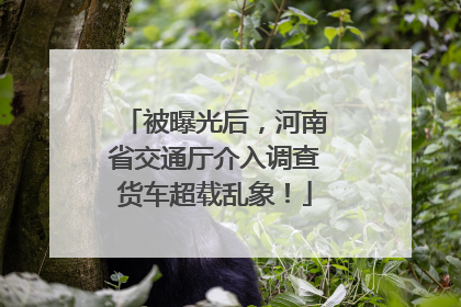 被曝光后，河南省交通厅介入调查货车超载乱象！