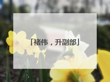 褚伟，升副部