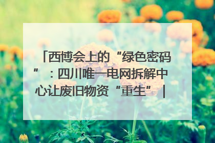 西博会上的“绿色密码”：四川唯一电网拆解中心让废旧物资“重生”｜西博寻“新”记