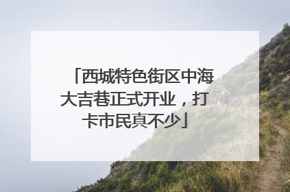西城特色街区中海大吉巷正式开业，打卡市民真不少