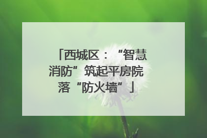 西城区：“智慧消防”筑起平房院落“防火墙”