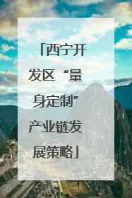 西宁开发区“量身定制”产业链发展策略