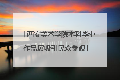 西安美术学院本科毕业作品展吸引民众参观