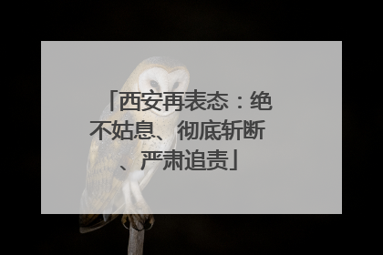 西安再表态：绝不姑息、彻底斩断、严肃追责