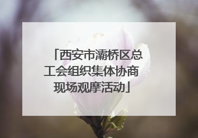 西安市灞桥区总工会组织集体协商现场观摩活动