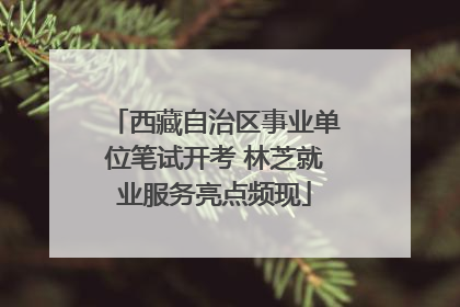 西藏自治区事业单位笔试开考 林芝就业服务亮点频现