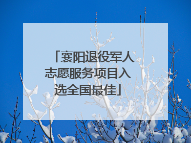 襄阳退役军人志愿服务项目入选全国最佳