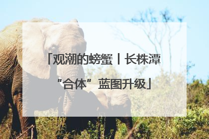 观潮的螃蟹丨长株潭“合体”蓝图升级