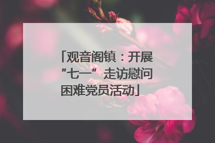 观音阁镇：开展“七一”走访慰问困难党员活动