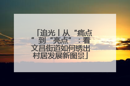 追光丨从“痛点”到“亮点”：看文昌街道如何绣出村居发展新图景