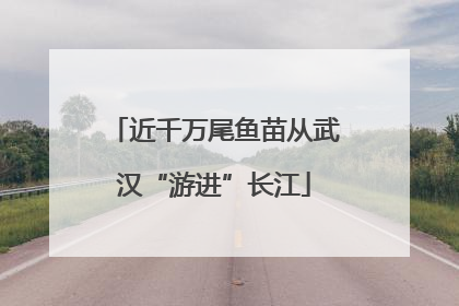 近千万尾鱼苗从武汉“游进”长江