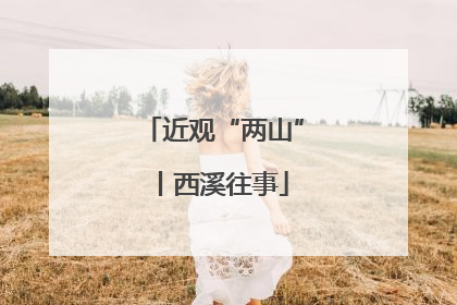 近观“两山”丨西溪往事